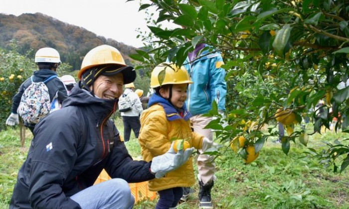 川根柚子の収穫祭