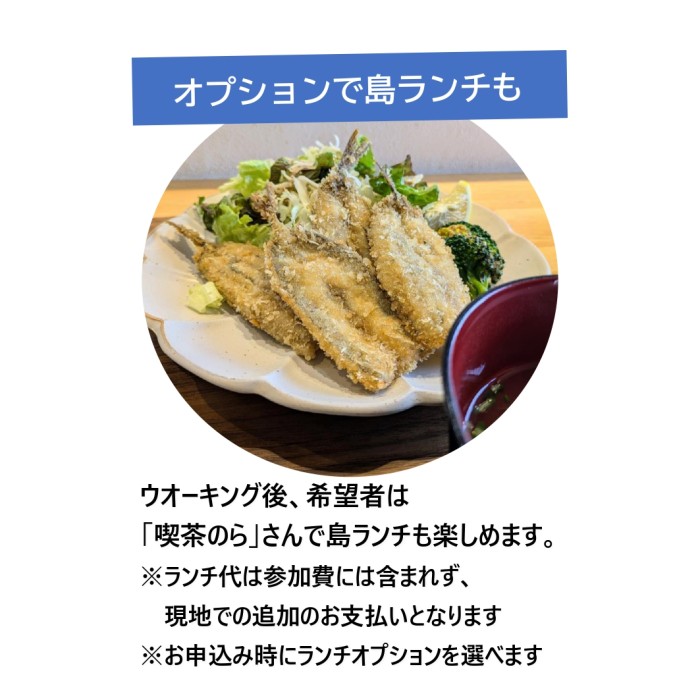 オプションで島ランチも楽しめます