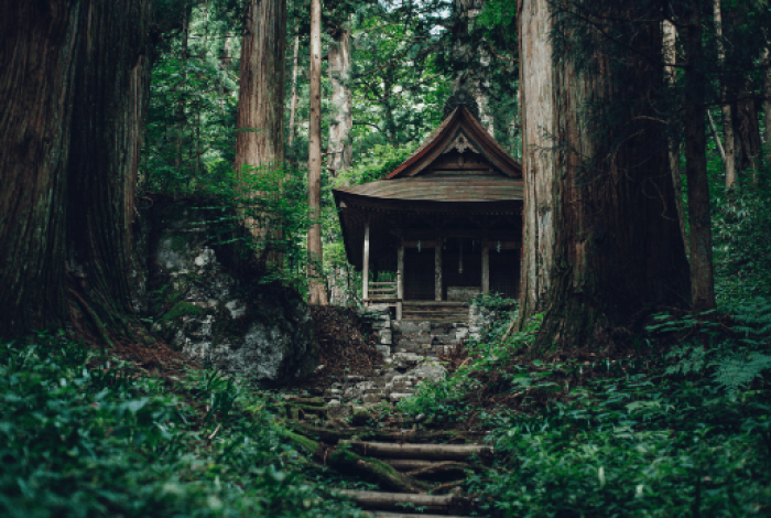 【2日目】歴史を学ぶ、神社を散策