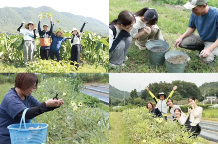 東広島産の農薬や化学肥料を使わずに育った野菜を使用