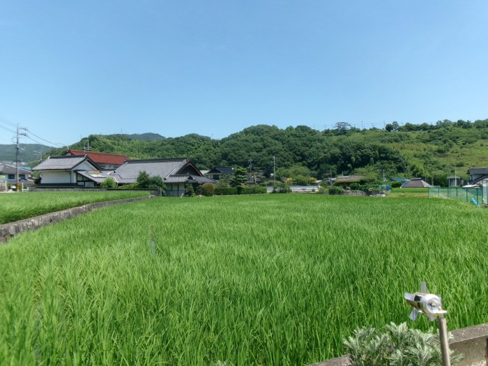 自然豊かな田園風景がのこる広島市・石内地区