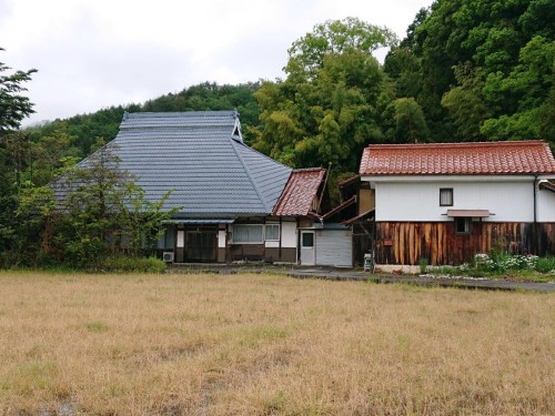 サムネイル画像（若菜幸子）