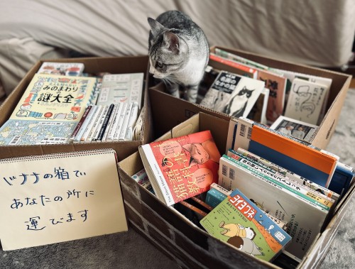 サムネイル画像（織田純子）