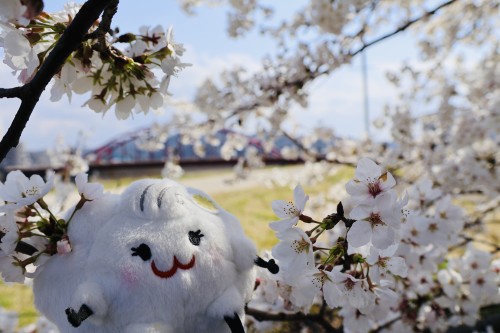 サムネイル画像（中平千尋）
