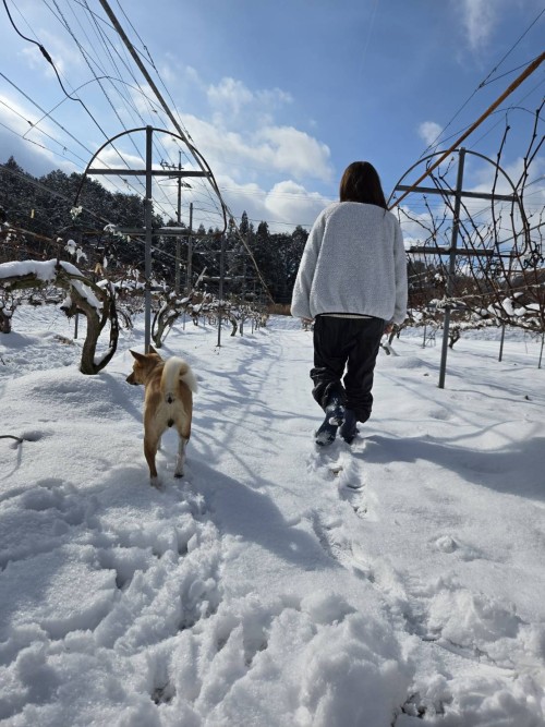 サムネイル画像（吉岡理佳）